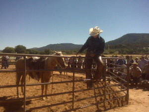 Craig Cameron with palomino filly